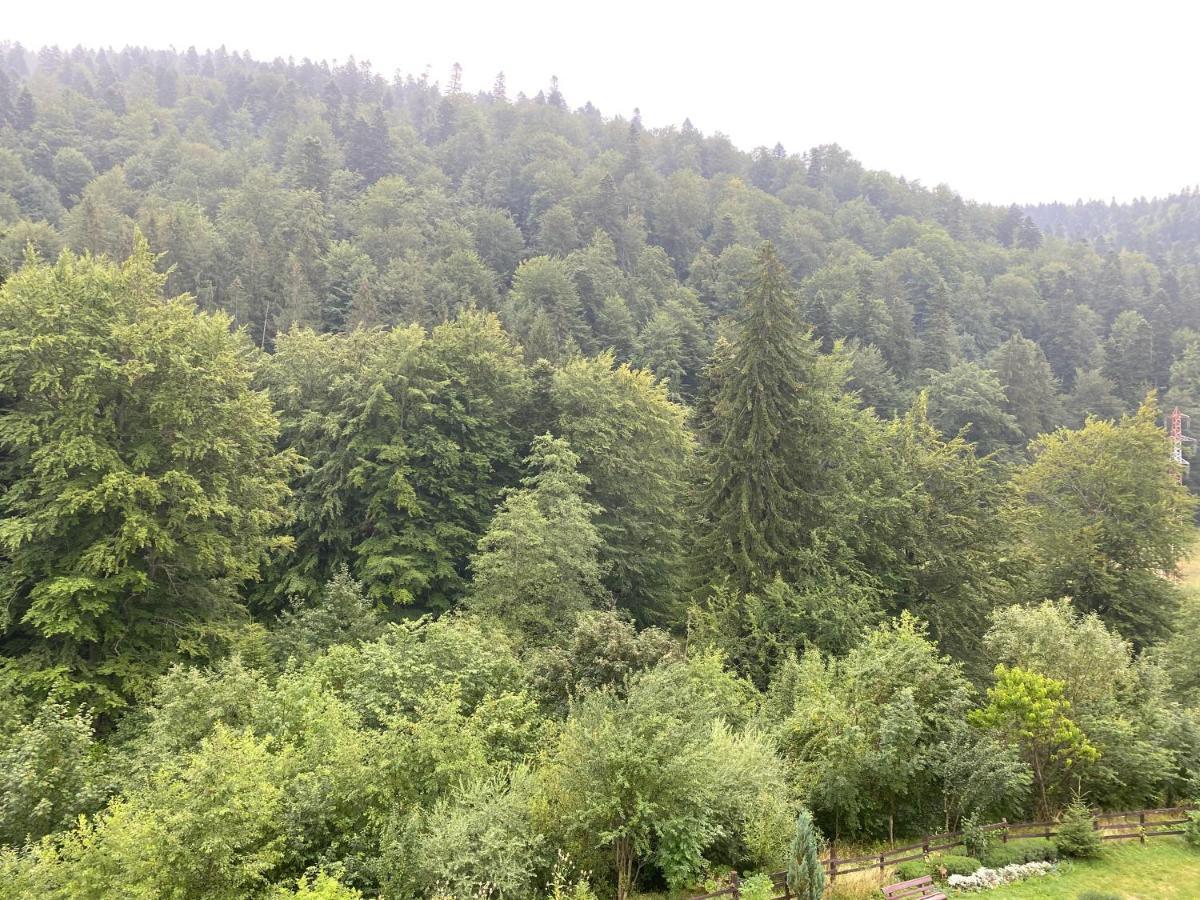 Busteni Cantacuzino Home Экстерьер фото